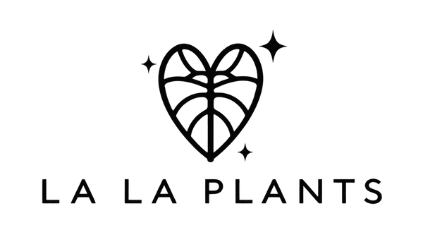 La La Plants ✦